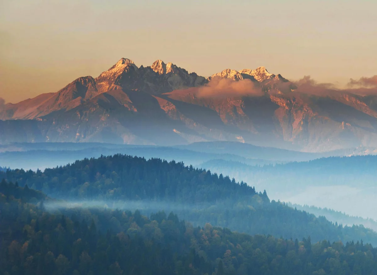 Ciekawe kto może Oddać elektrośmiecie w Katowicach?