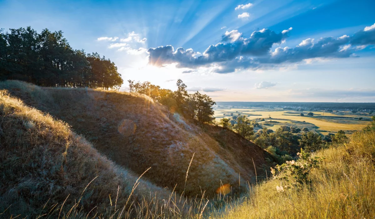 Krezy i olejki arganowe. Dla kogo i po co?