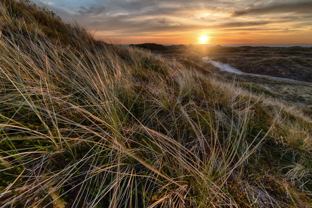 Na temat ogrodzeń. Fakty i ciekawostki
