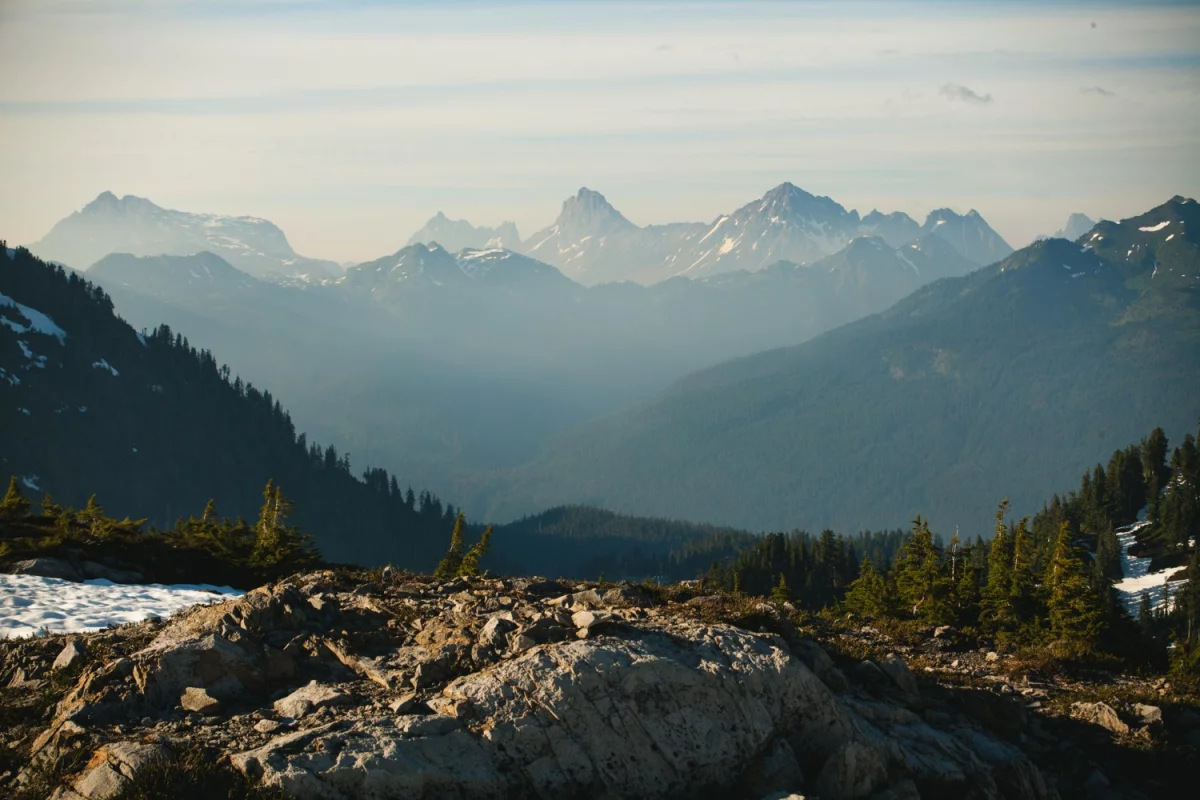 To Nie Twoja Wina, że Nie Wiesz Jak zlecić outsourcing środowiskowy (chyba, że Popełniasz Te 5 Największych Błędów)