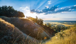 Czy są zmiany w prawie jak reklamować firmę?